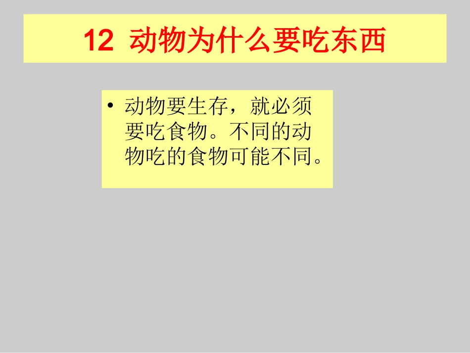 《12-动物为什么要吃东西》课件1_第3页