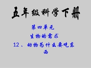 《12-动物为什么要吃东西》课件1