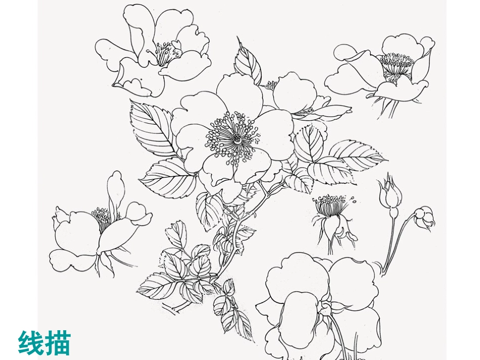 2.艺术与科学-(2)_第3页