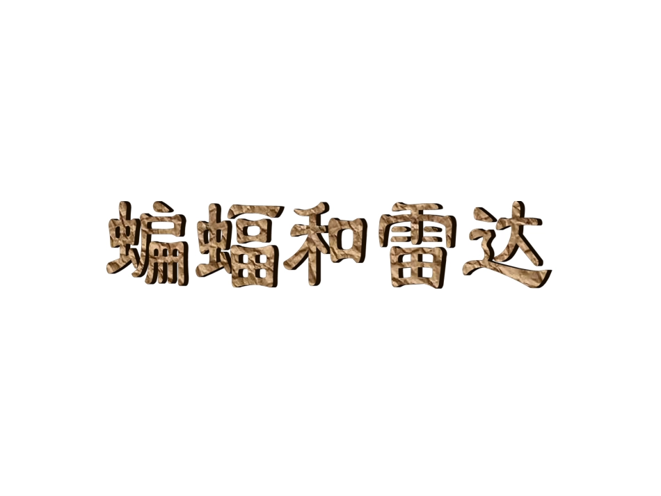 11蝙蝠和雷达-(2)_第1页