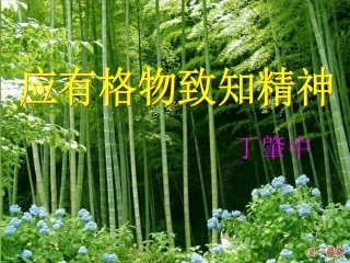 14《应有格物致知精神》课件