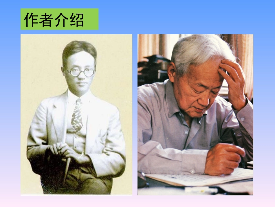 2010《小狗包弟》PPT课件(1)_第3页