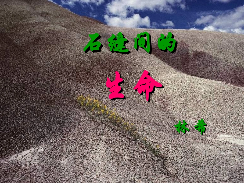 《石缝间的生命》_第1页