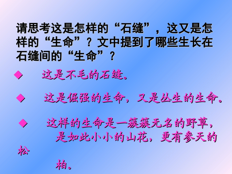 《石缝间的生命》_第3页