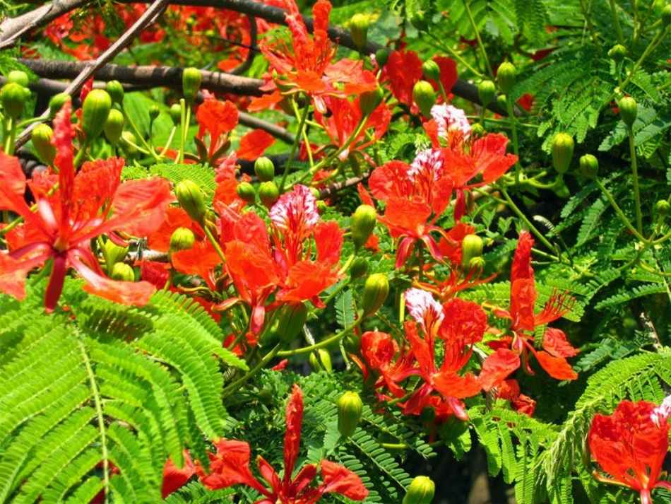 欢乐的泼水节2_第2页