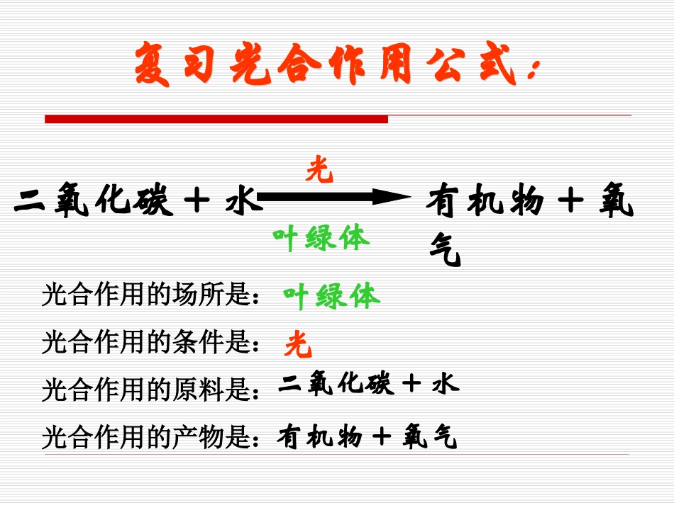 《第二节-植物光合作用的场所》课件2_第1页