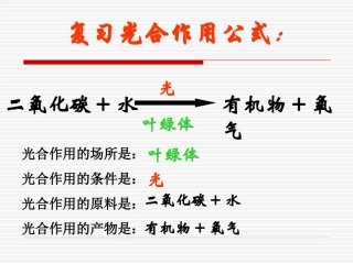 《第二节-植物光合作用的场所》课件2