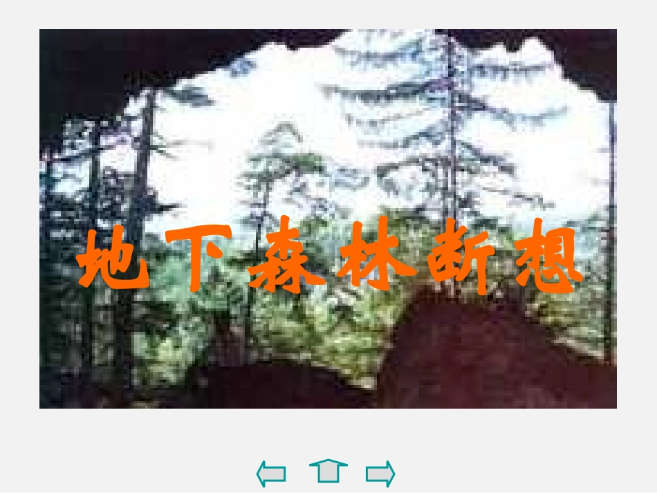 2地下森林断想_第2页