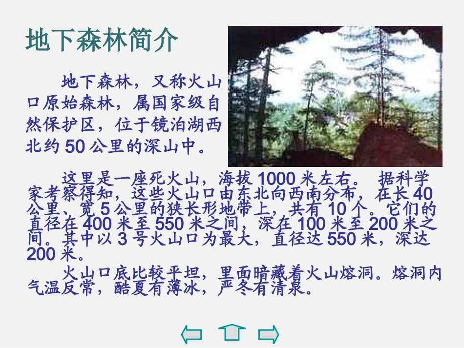 2地下森林断想_第3页