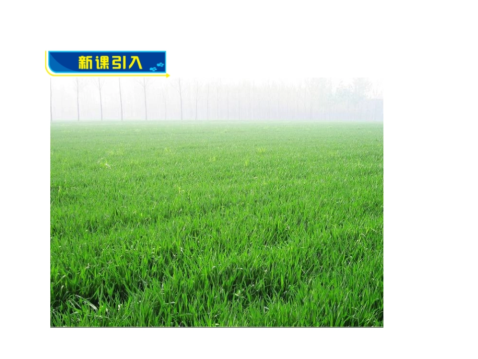 第三节化学与农业生产_第2页