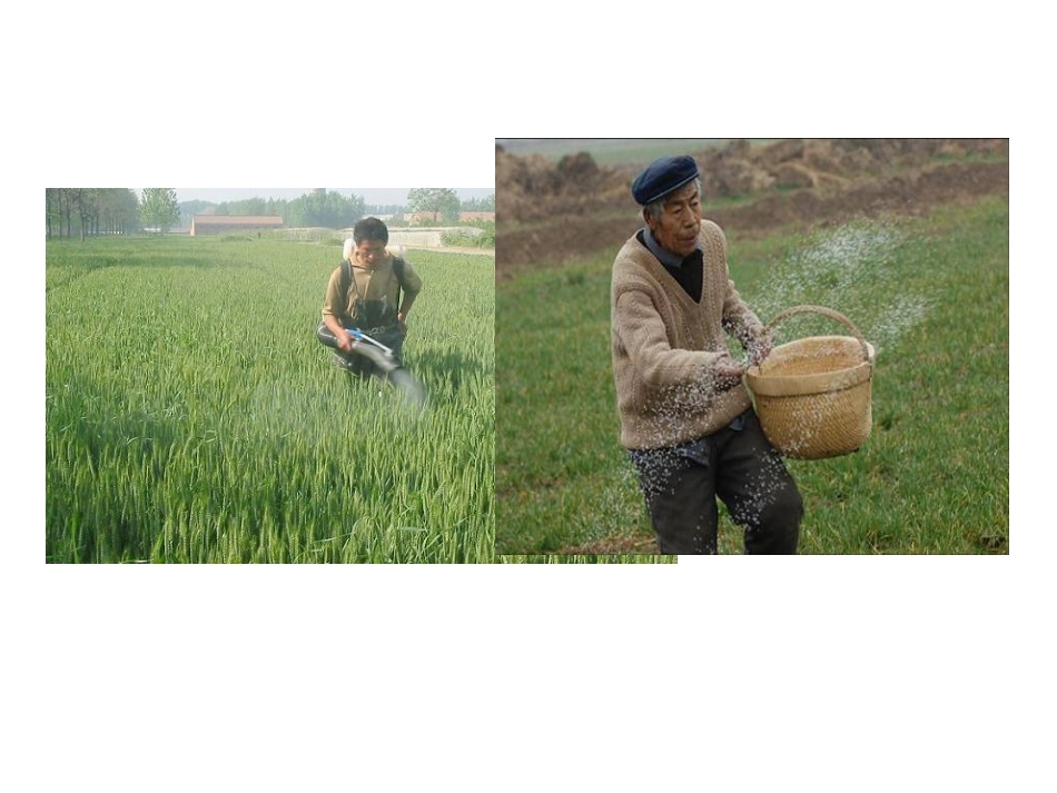 第三节化学与农业生产_第3页