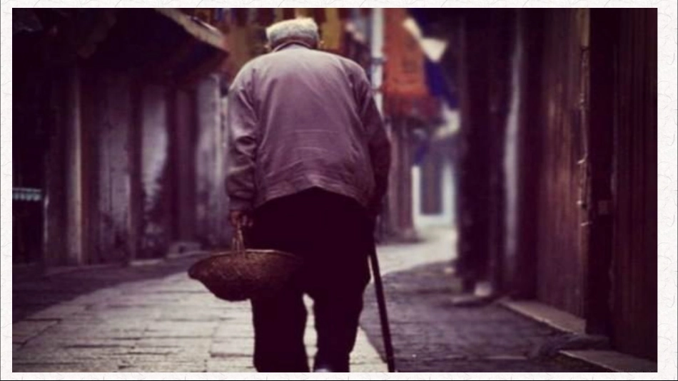 8、背影--_第3页