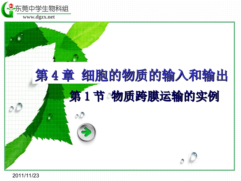 1394.1物质跨膜运输的实例_第2页