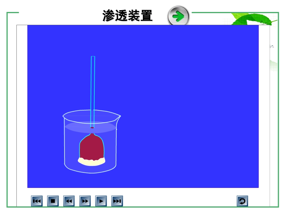 1394.1物质跨膜运输的实例_第3页