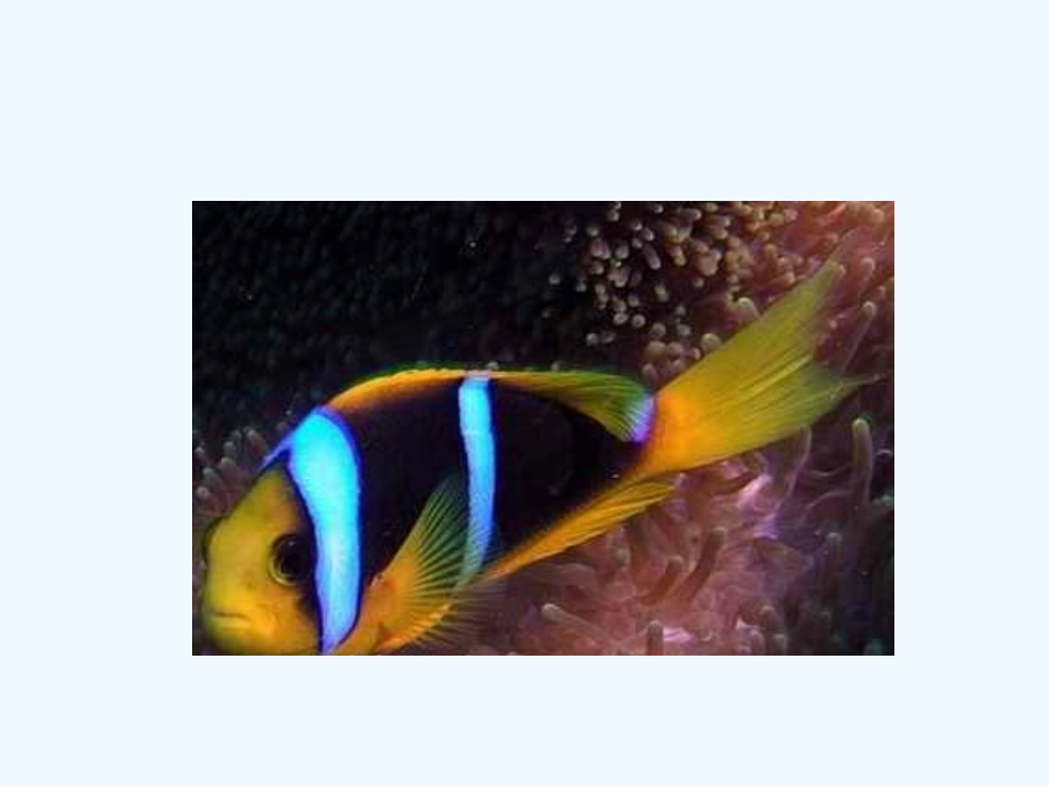 比尾巴.比尾巴_第2页