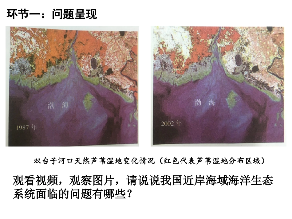 第三节海洋污染的防治与环境保护_第2页