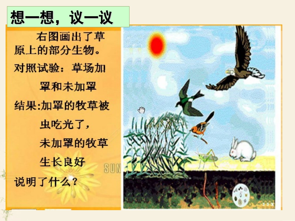 1.2.2-生物与环境组成生态系统_第3页