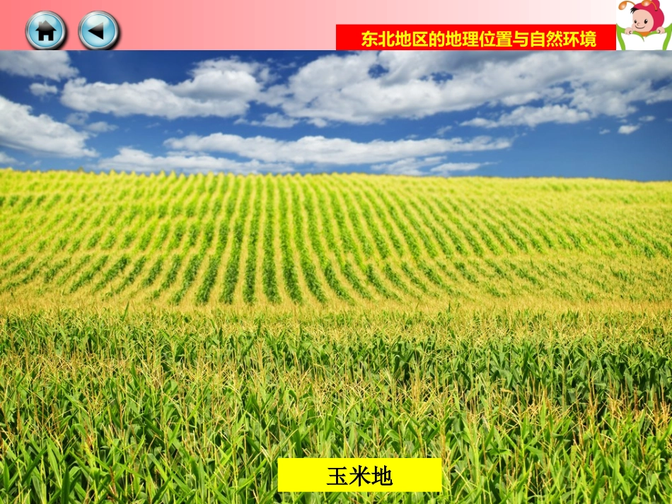 第三节东北地区的产业分布-(3)_第3页