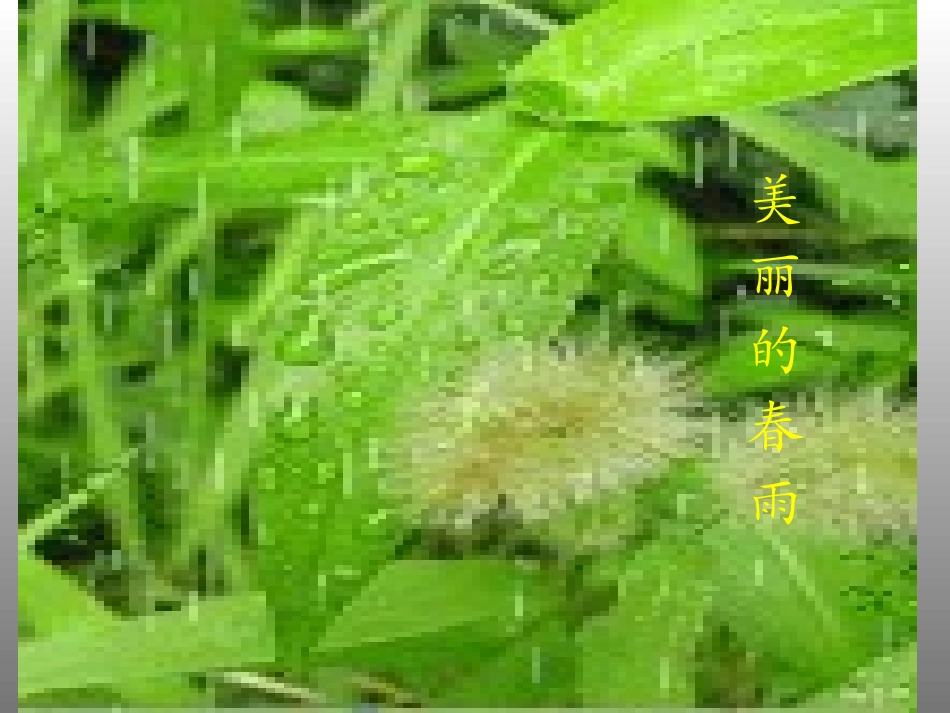 三月桃花水教学课件_第2页