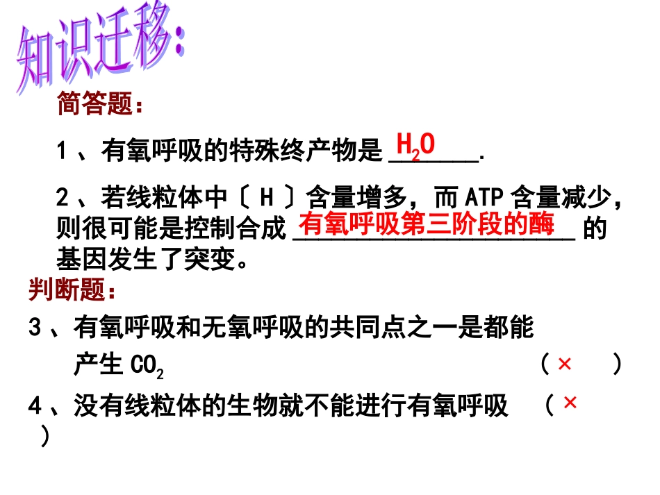 必修1细胞呼吸_第3页