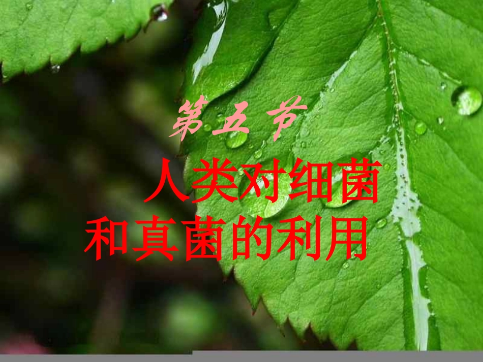 人教版八上第五单元第五章第二节人类对细菌和真菌的利用(共25张PPT)_第1页