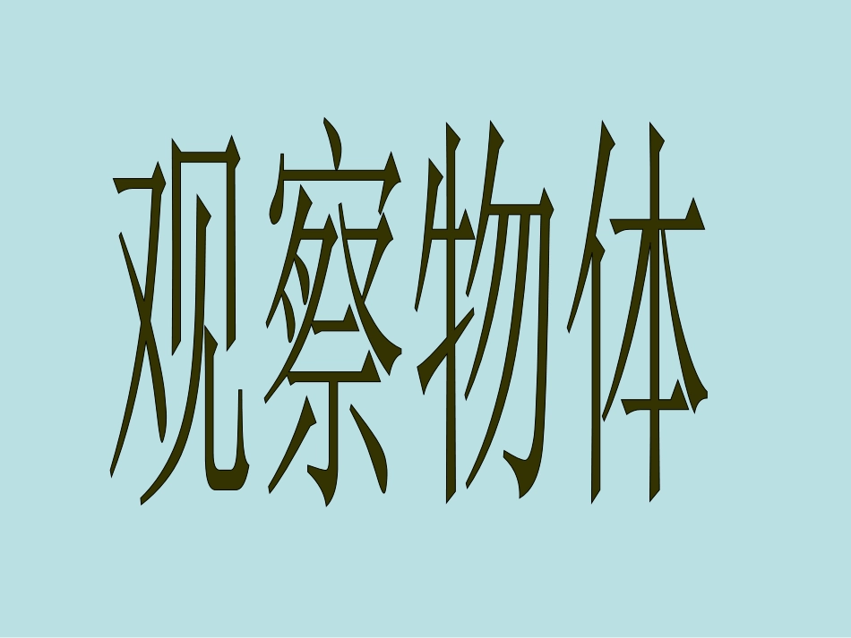 小学数学人教2011课标版二年级观察物体（1） (3)_第1页