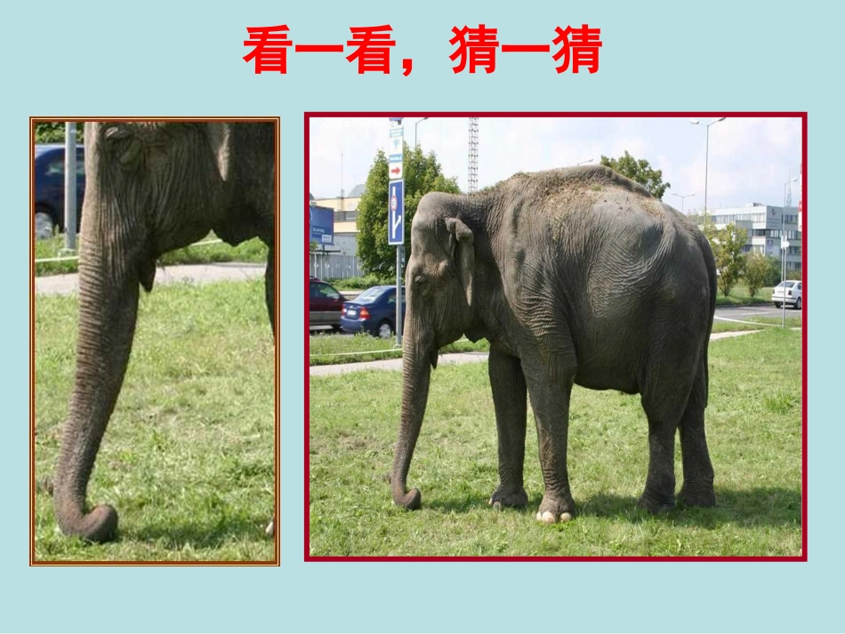 小学数学人教2011课标版二年级观察物体（1） (3)_第2页