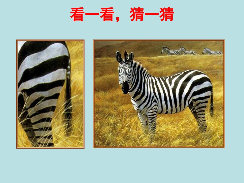 小学数学人教2011课标版二年级观察物体（1） (3)_第3页
