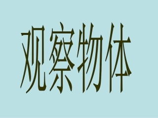 小学数学人教2011课标版二年级观察物体（1） (3)