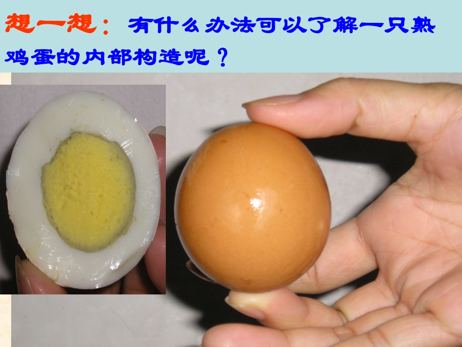 《14地球的圈层结构》课件_第2页