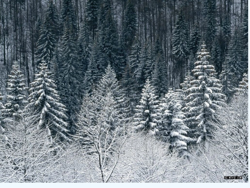 (部编)人教2011课标版一年级上册《雪地里的小画家》课件-(5)_第2页