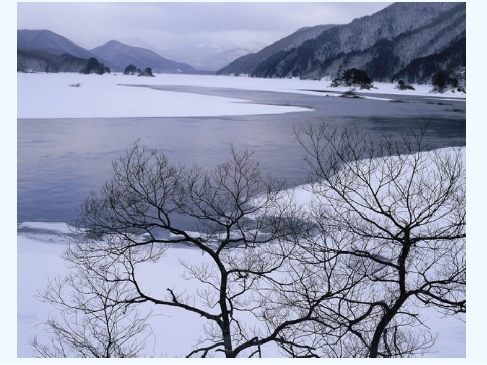 (部编)人教2011课标版一年级上册《雪地里的小画家》课件-(5)_第3页