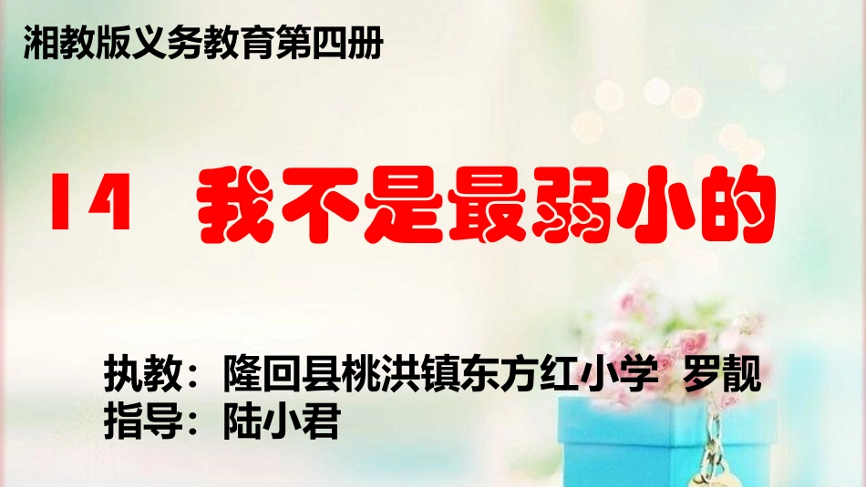 14我不是最弱小的_第1页