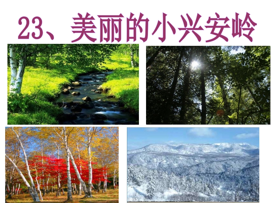 美丽的小兴安岭公开课(修改)PPT_第2页