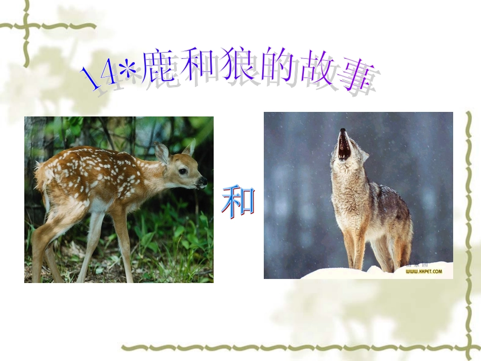 14鹿和狼的故事-(2)_第1页