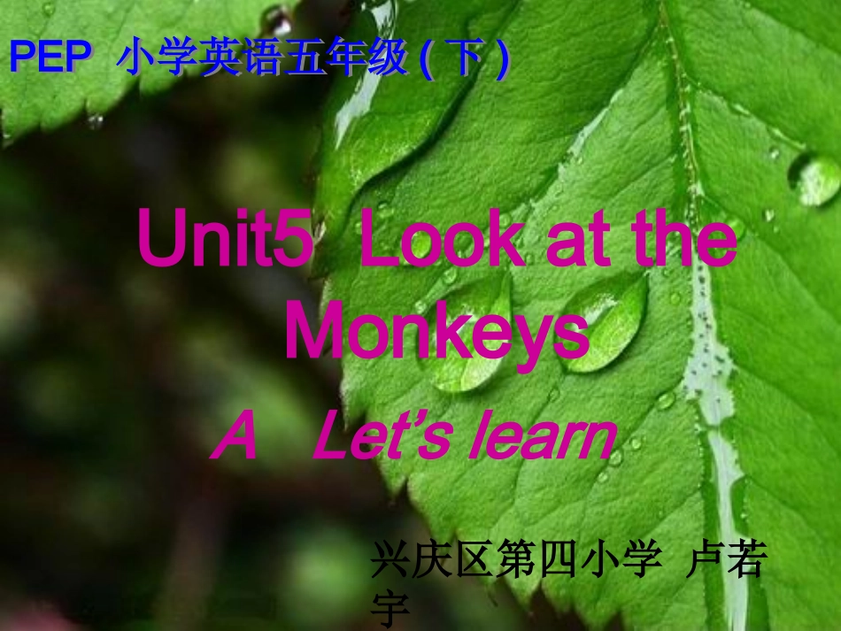 unit5五年级下册第一课时_第3页