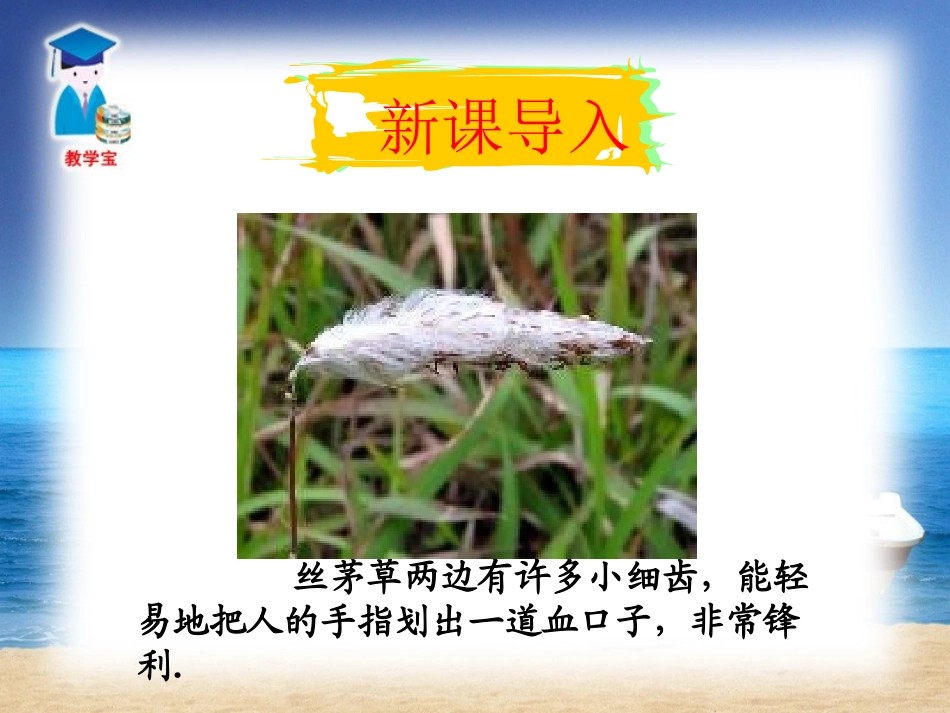 1611从分数到分式1_第1页