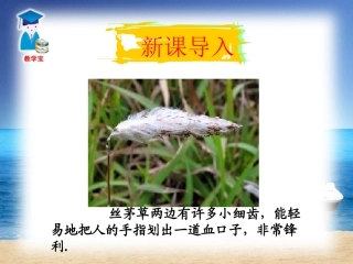 1611从分数到分式1