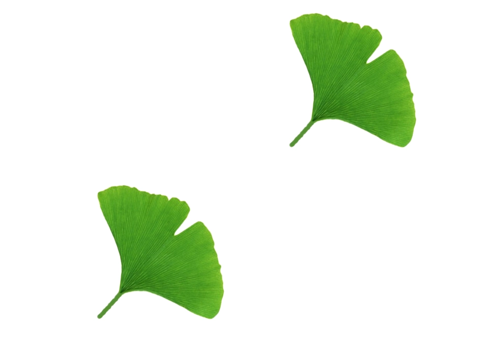 12.1全等三角形课件-人教版八年级上册[1]_第3页