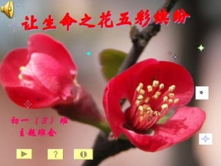 “让生命之花五彩缤纷”主题班会