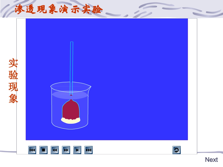 物质跨膜运输的实例-_第3页
