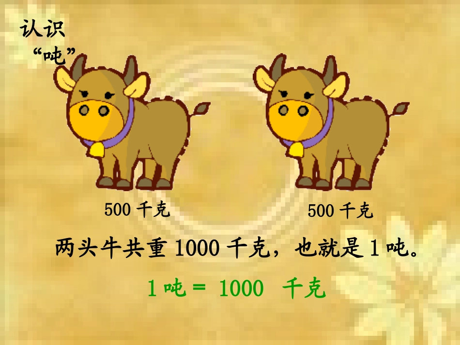 吨的认识.ppt_第3页