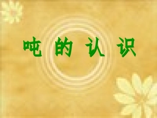 吨的认识.ppt