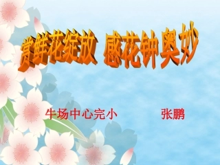 13《花钟》课件