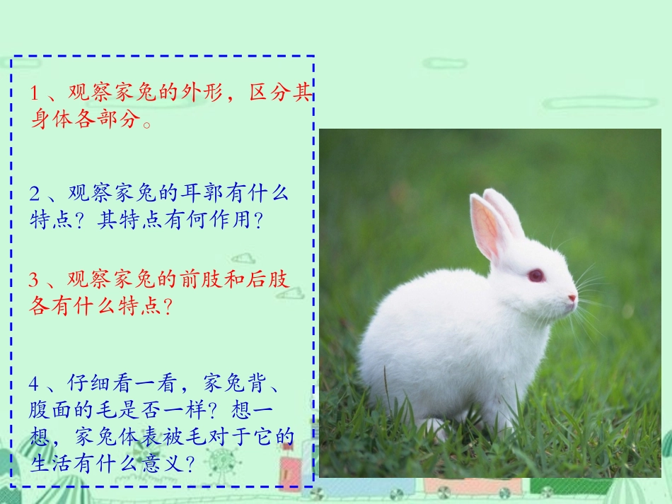 第九节哺乳类_第2页