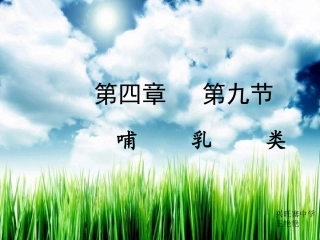 第九节哺乳类