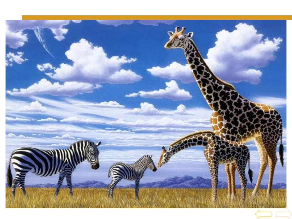 小学数学2011版本小学四年级小数的读法与写法.1.2-小数的读法和写法-课件_第3页