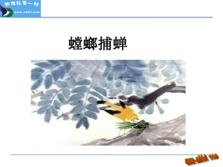6.5-螳螂捕蝉