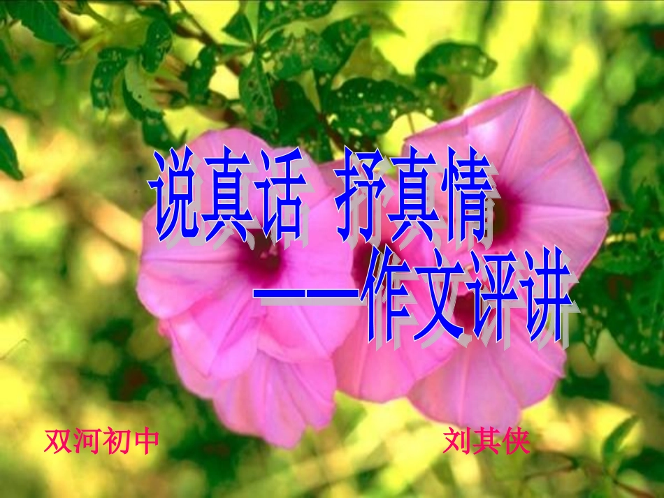 说真话-抒真情-初中作文写作指导_第1页