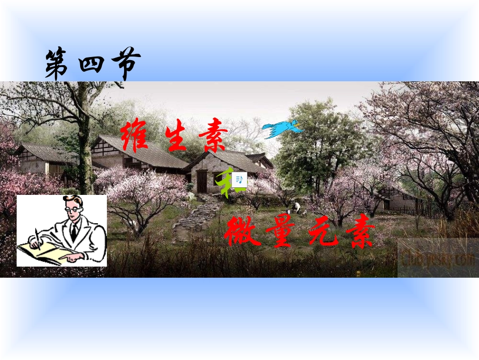 14化学维生素和微量元素人教选修1_第1页